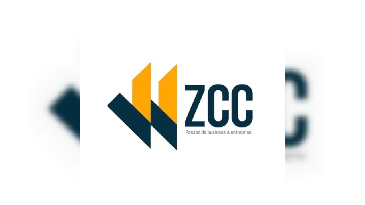 Zyedou Cabinet Consulting